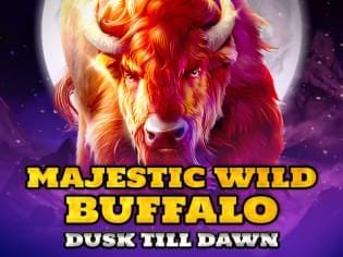 Majestic Wild Buffalo - Dusk Till Dawn screenshot